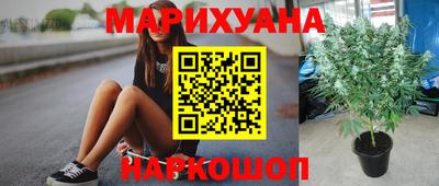 каннабис Новозыбков