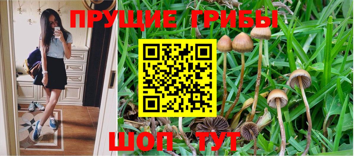 Павловский Посад  Псилоцибиновые грибы GOLDEN TEACHER  Галлюциногенные грибы MAGIC MUSHROOMS  Вход с VPN 