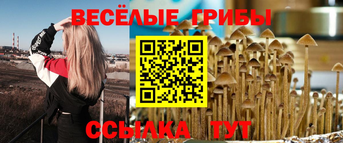 Псилоцибиновые грибы прущие грибы Павловский Посад